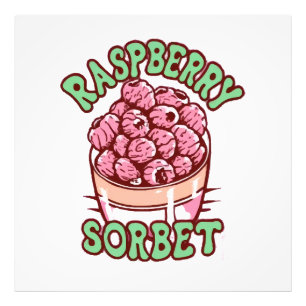 Frambozen Sorbet Foto Afdruk