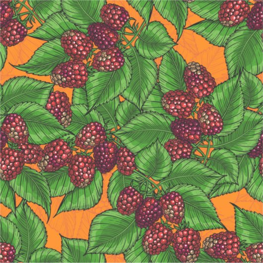 Frambozen Sticker (Voorkant)