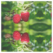 Frambozen Stof (Close Up)