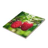 Frambozen Tegeltje (Zijkant)