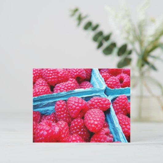 Frambozen, vers briefkaart (Staand voorkant)