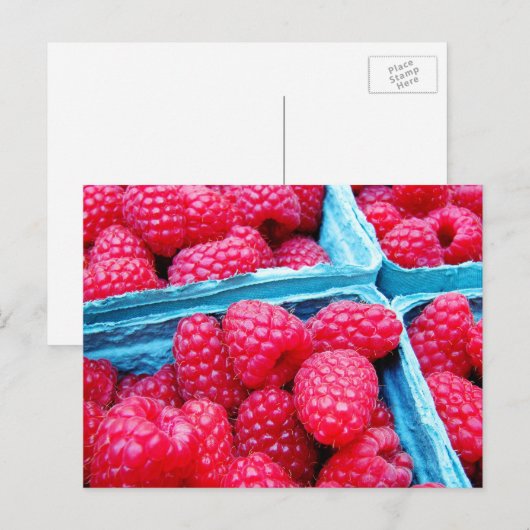 Frambozen, vers briefkaart (Voorkant / Achterkant)