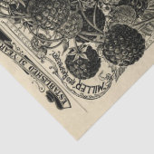  frambozencatalogus geïllustreerd advertentievaart tissuepapier (Detail)