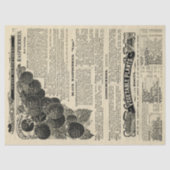  frambozencatalogus geïllustreerd advertentievaart tissuepapier (Voorkant)