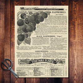  frambozencatalogus geïllustreerd advertentievaart tissuepapier