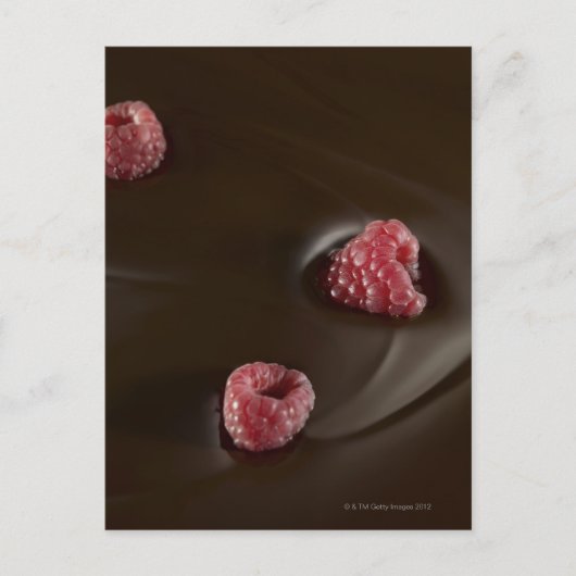 frambozenchocolade briefkaart (Voorkant)