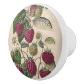  frambozenfruit keramische knop (Rechts)