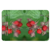 Frambozenreflecties Magneet (Horizontaal)