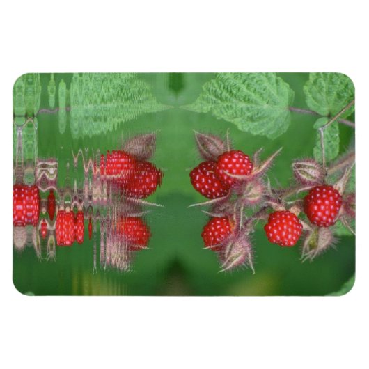 Frambozenreflecties Magneet (Horizontaal)