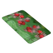 Frambozenreflecties Magneet (Rechterzijde)