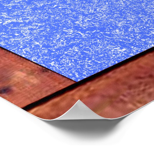 Framed Gamecock Poster (Hoek)