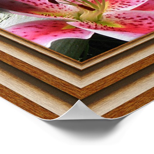 "Framed" Hummingvogels Poster (Hoek)