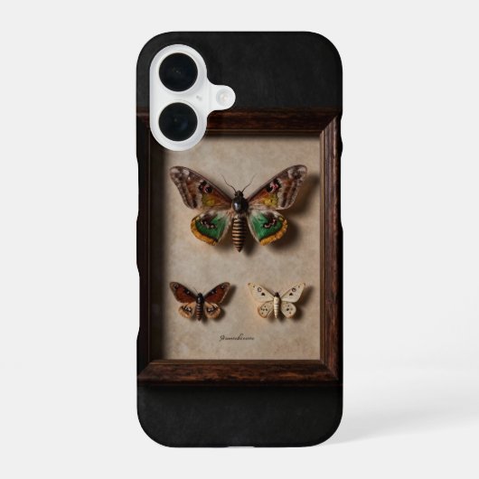 Framed Moth Specimen Dark Academia Case iPhone 16 Hoesje (Achterkant)