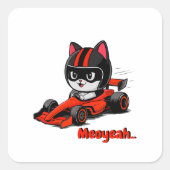 Framed Pet Tag Cat pilot Vierkante Sticker (Voorkant)