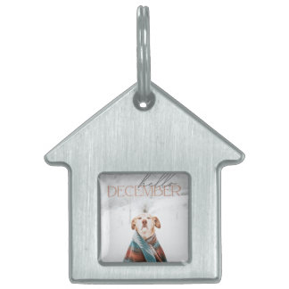 Framed Pet Tag Huisdieren Naamplaatje
