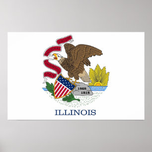 Framed print met vlag van Illinois, VS