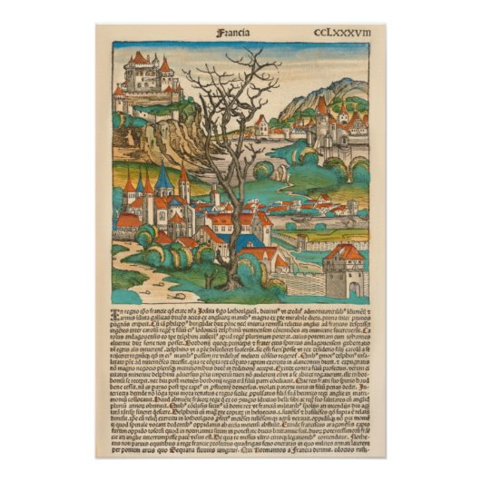 France Neurenberg Chronicle 1493 Perfect Poster (Voorkant)
