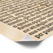 France Neurenberg Chronicle 1493 Perfect Poster (Hoek)