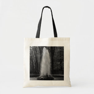 France Versailles palace Ceres fontain 1970 Tote Bag