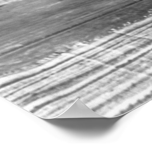 Frances Benjamin Johnston, 1896 Poster (Hoek)