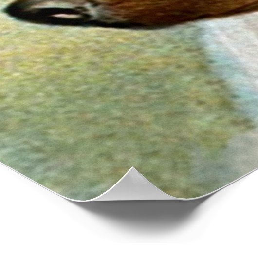 Frances Brundage: Meisje met hond Poster (Hoek)