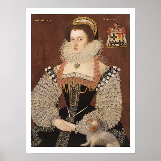Frances Clinton, Lady Chandos (1552-1623) 1579 (oi Poster (Voorkant)