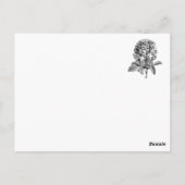 Frances Duncombe Briefkaart (Achterkant)