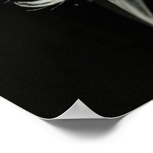 Frances Ha 2 Poster (Hoek)