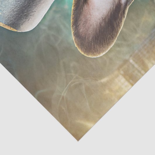 Franchie's Flush, Franse Bulldog spelen poker Tissuepapier (Detail)