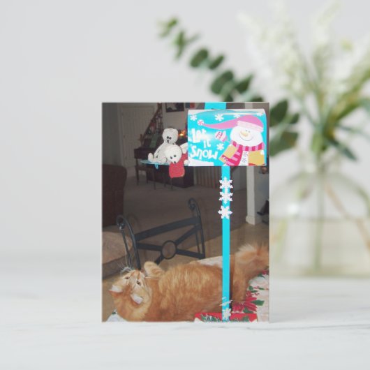 Francious en Lennart Briefkaarten (Staand voorkant)