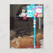 Francious en Lennart Briefkaarten (Voorkant)