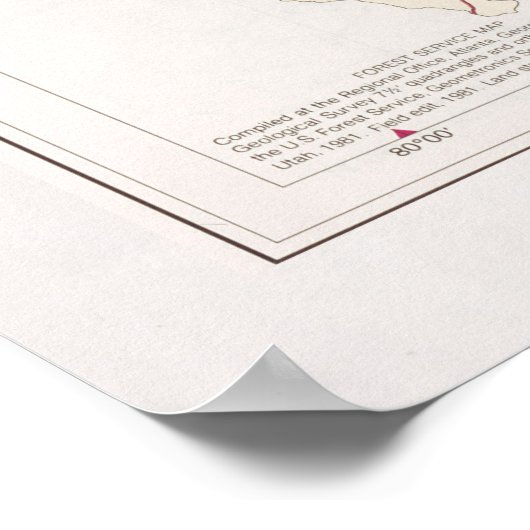 Francis Marion National Forest Map (1981) Poster (Hoek)