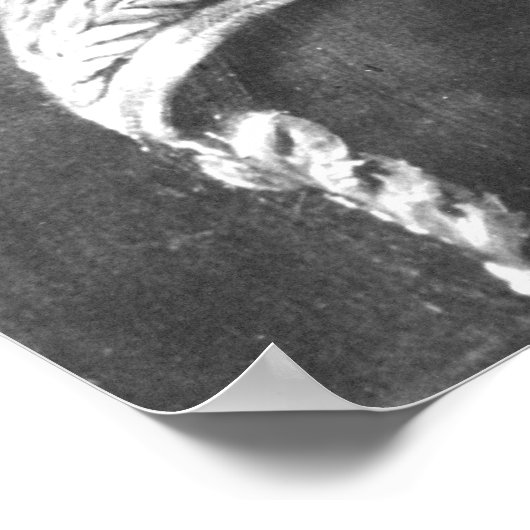 Francisco de Miranda Poster (Hoek)