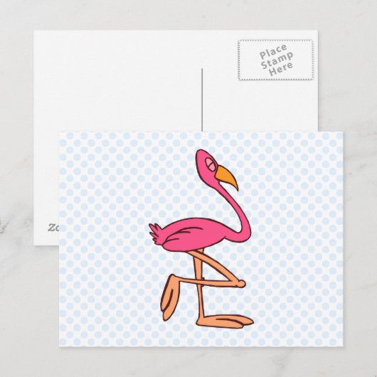 Francisco Flamingo Briefkaart (Voorkant / Achterkant)