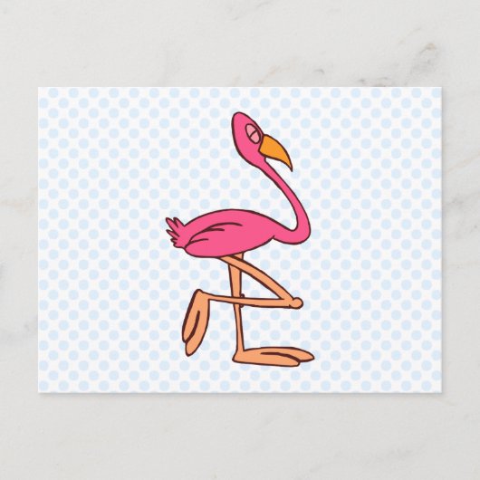 Francisco Flamingo Briefkaart (Voorkant)