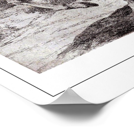 Francisco Goya Zedign Art Poster #505 (Hoek)