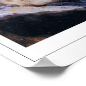 Francisco Goya Zedign Art Poster #514 (Hoek)