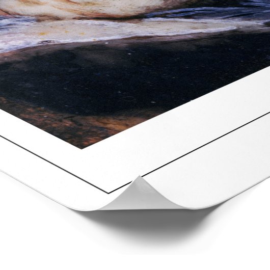 Francisco Goya Zedign Art Poster #514 (Hoek)