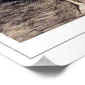 Francisco Goya Zedign Art Poster #517 (Hoek)