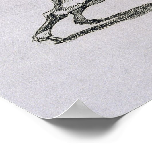 Francisco Jose de Goya y Lucientes | De flexibilit Poster (Hoek)