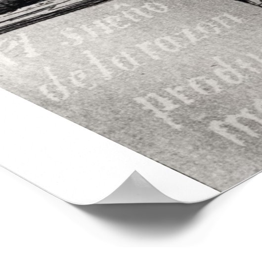 Francisco Jose de Goya y Lucientes | Slaapstand Poster (Hoek)