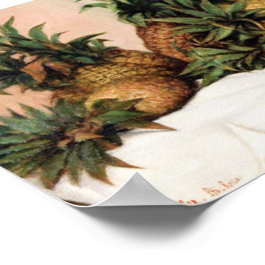 Francisco Oller Pineappples Poster (Hoek)