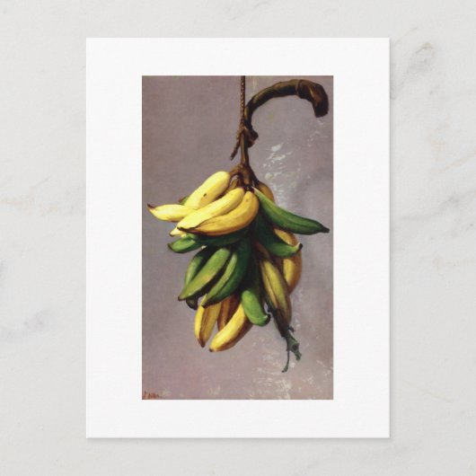 Francisco Oller Platanos Amarillos Briefkaart (Voorkant)