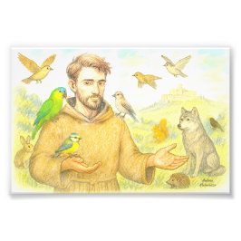 Franciscus - de preek voor vogels en dieren foto afdruk