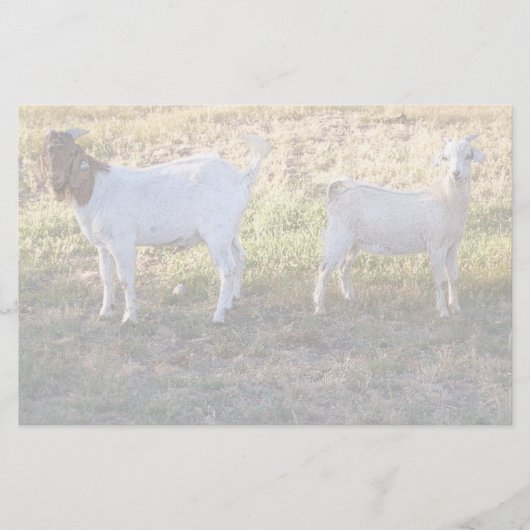 Franco en Friend Briefpapier (Voorkant)