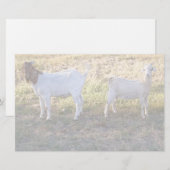 Franco en Friend Briefpapier (Voorkant / Achterkant)