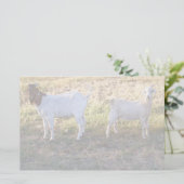 Franco en Friend Briefpapier (Staand voorkant)