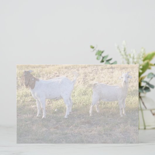 Franco en Friend Briefpapier (Staand voorkant)