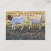 Franco en Friend Visitekaartje (Achterkant)