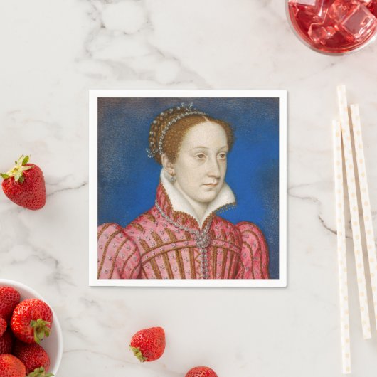 Francois Clouet - Mary, koningin van Schotten Servet (Insitu)